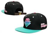 STRAPBACK PINK DOLPHIN